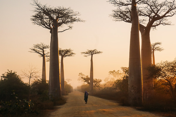 travel requirements to enter madagascar